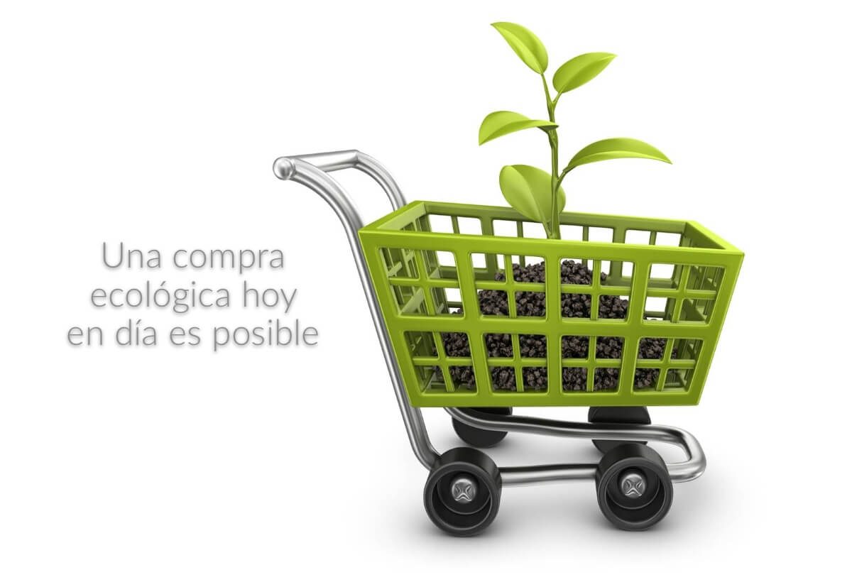 productos ecológicos
